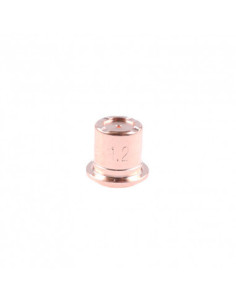 Dysza 1,1 A-81 (TF-81)  2