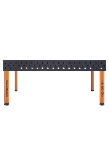 MAXIMUS 3D 2000 x 1000 x 200 [4 nogi ze stopami L620]