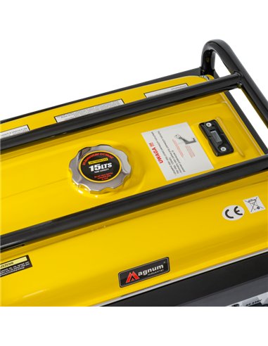 Agregat prądotwórczy DF-2500H