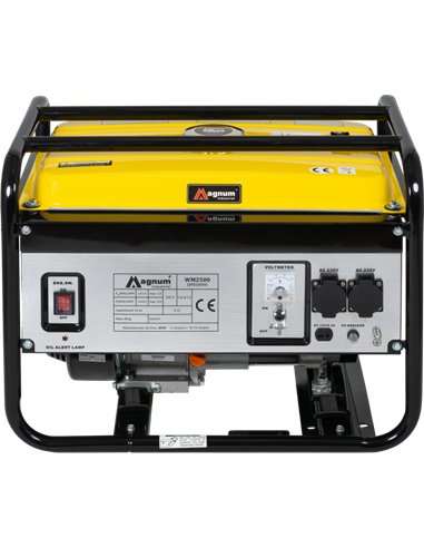 Agregat prądotwórczy DF-2500H